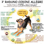 codini.allegri.17.10.2010