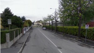 COLOGNO MONZESE - Abbattimento alberi via Toscana