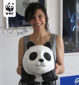 Elisa, WWF