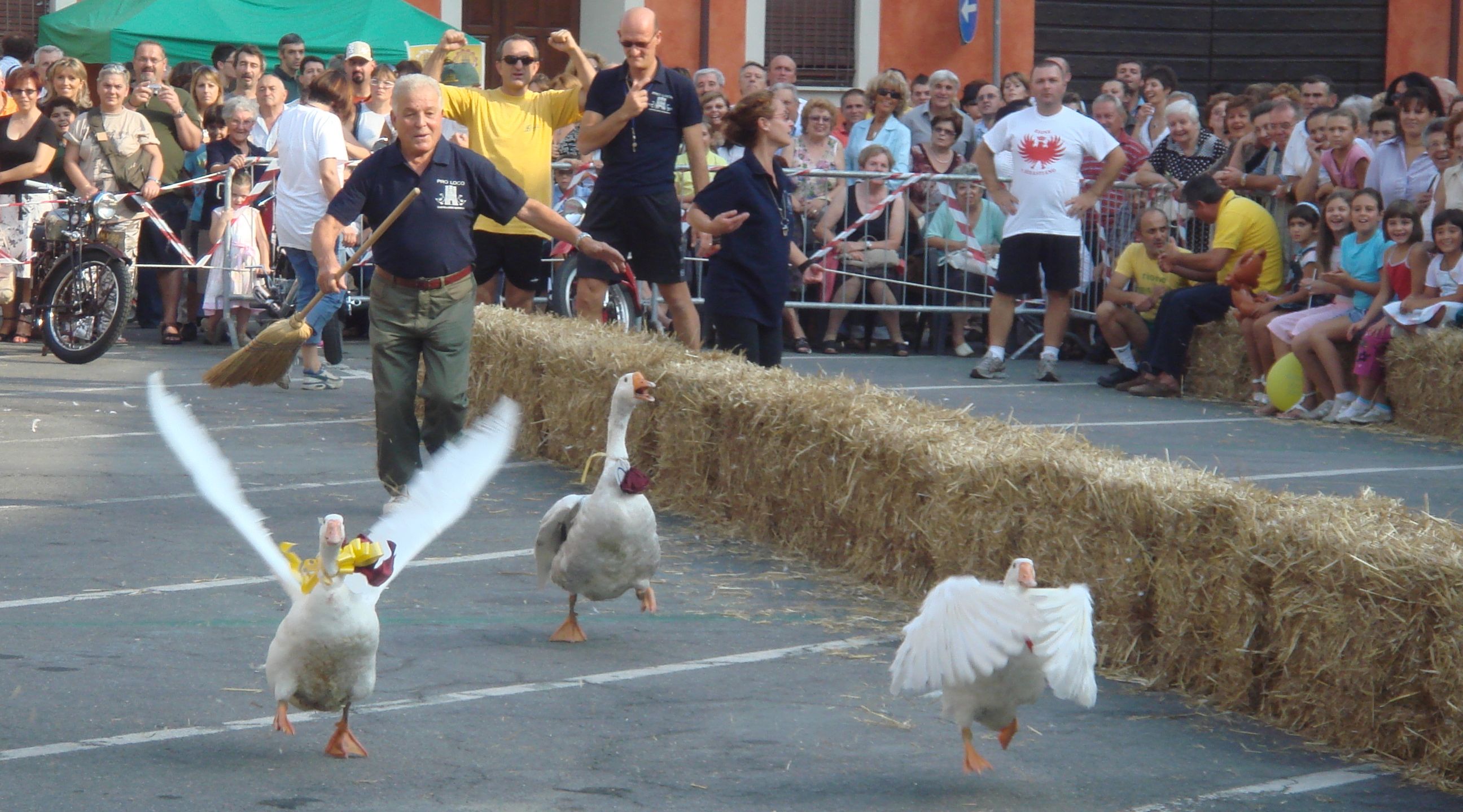 palio dell'oca