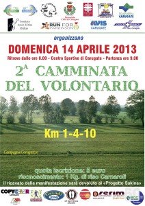 volontario2013