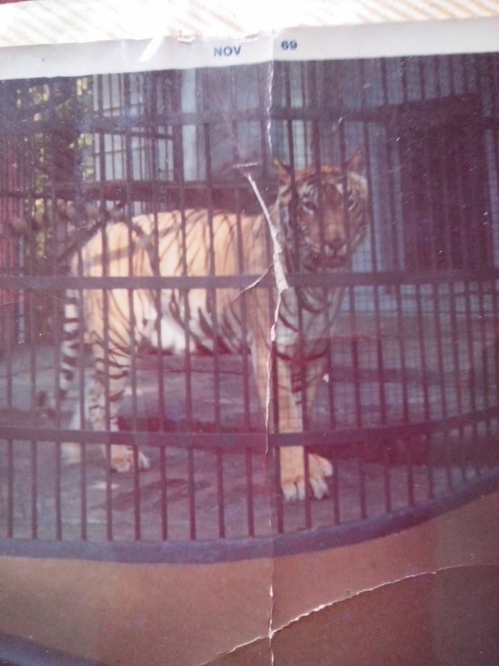 1796663_10203372908111236_933707096_n