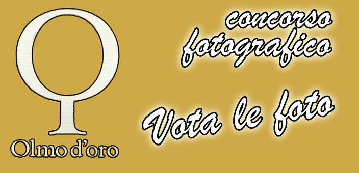 votafotoolmo