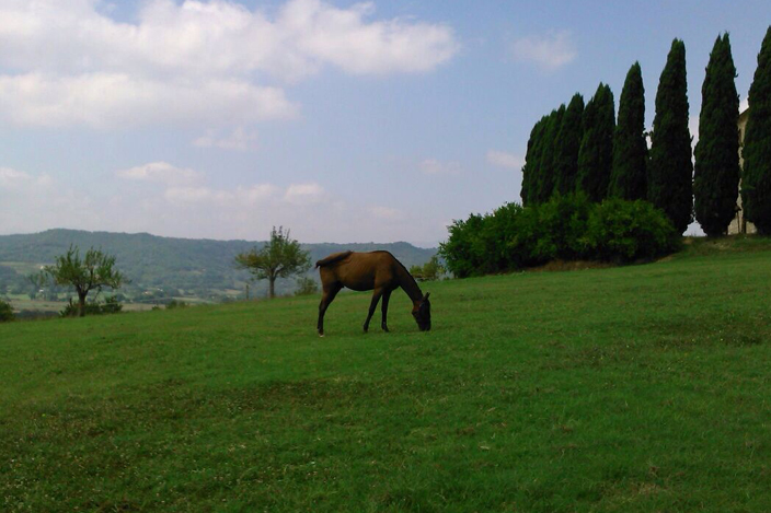 estate3_giuly_umbria