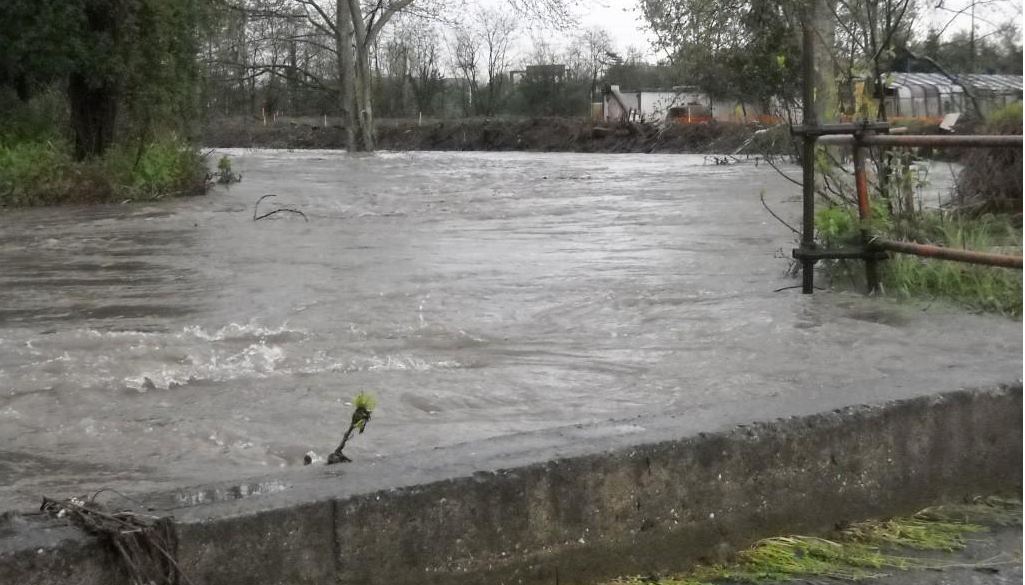 Schermata 2014-11-13 alle 06.46.04