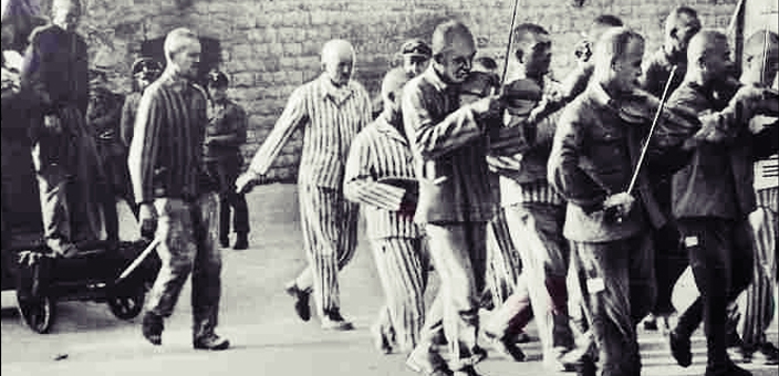 violinisperanzacologno