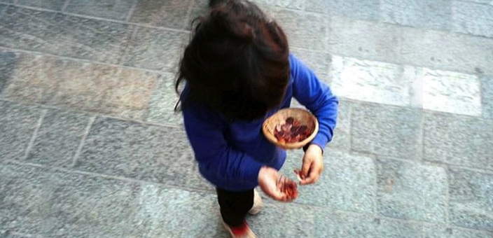 accattonaggiogorgonozla