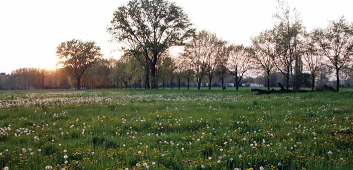 golfoagricoloricorso