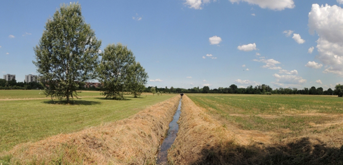 PLIS (Parco Locale di Interesse Sovracomunale) Martesana PLIS (Parco Locale di Interesse Sovracomunale) Martesana