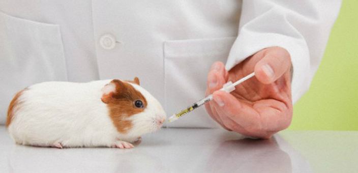 sperimentazioneanimale