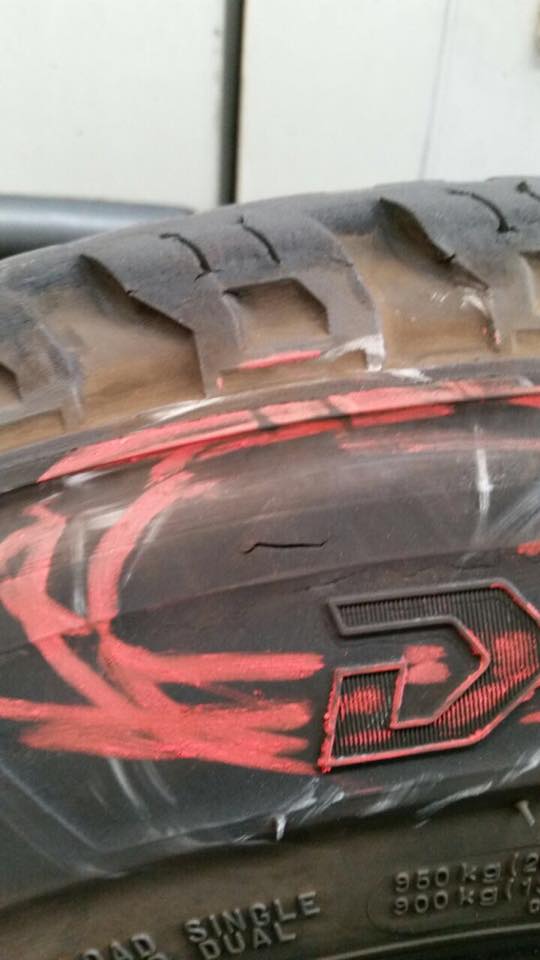 11733431_10205845002197396_212962385_n