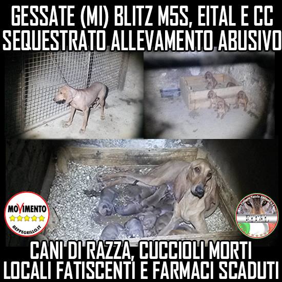 11813379_450724181773575_96480773009413194_n