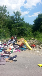 wpid-20150620_1525431