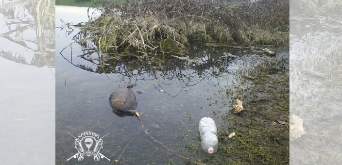 nutrieincreaspinning