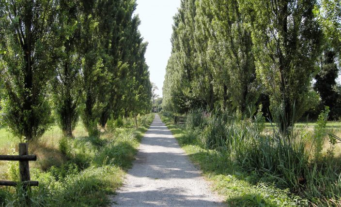 f3pioltello parco besozza