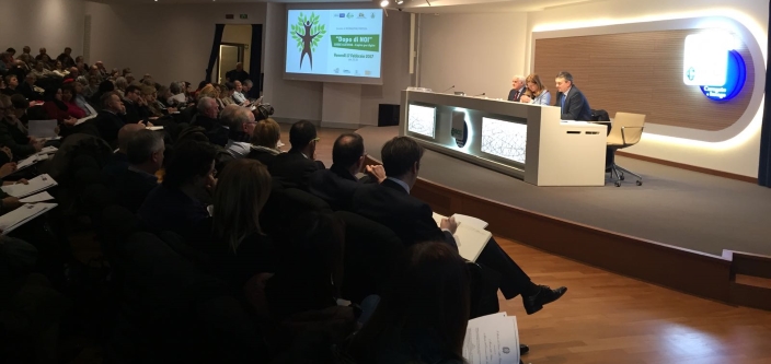 WhatsApp Image 2017-02-18 at 19.48.16