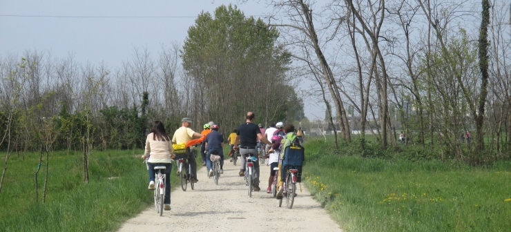 17017031_1804316546489025_4603971536607768404_o