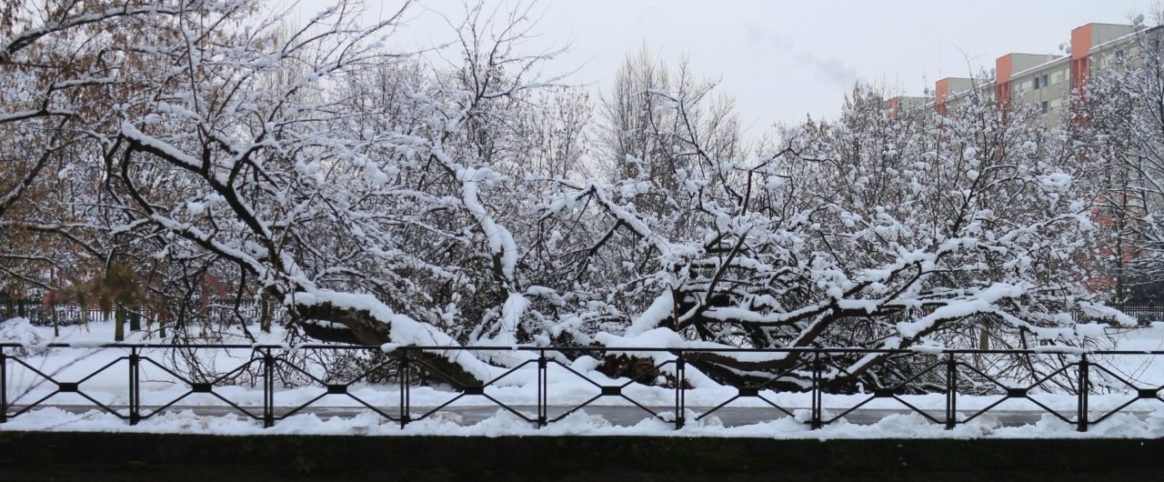 Antonio Muggeo_ Cernusco lungo naviglio_01