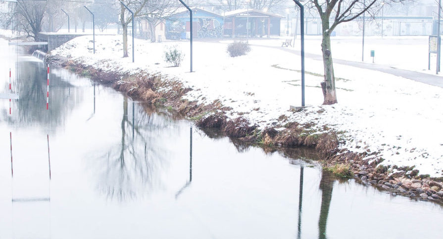 Claudia De Salvo_ Cernusco