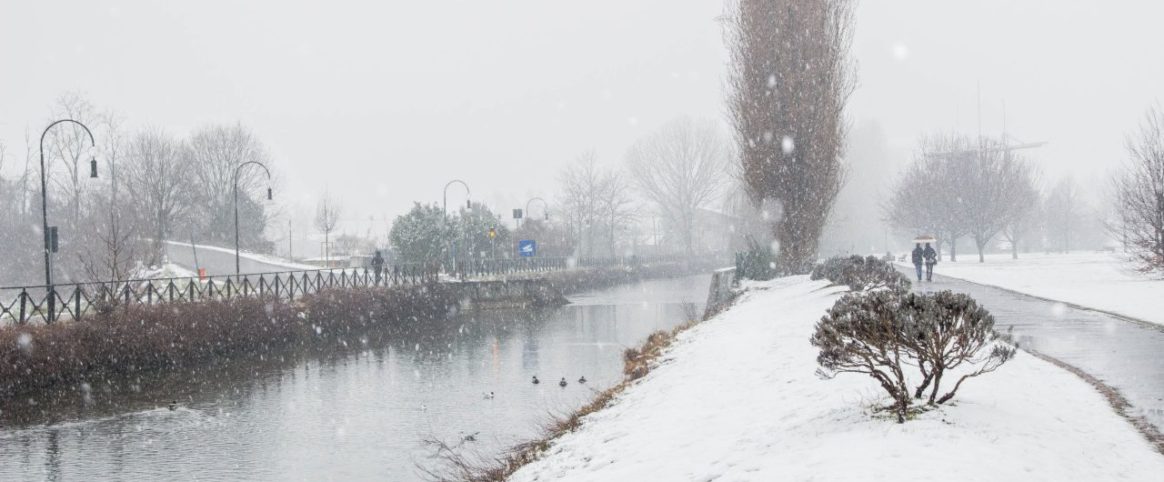 Claudia De Salvo_ Parco dei Germani Cernusco S.N