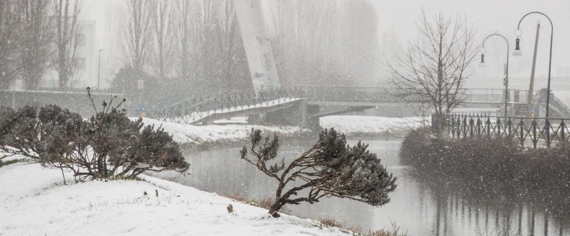 Claudia De Salvo_ Ponte naviglio