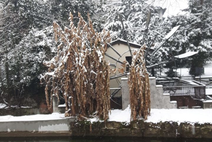 Renato Scotti_Cernusco sul Naviglio