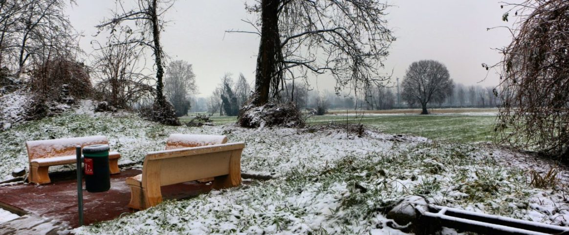 Domenico Valsecchi Gorgonzola