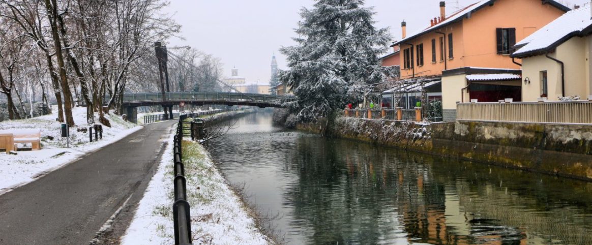 Domenico Valsecchi_ Gorgonzola