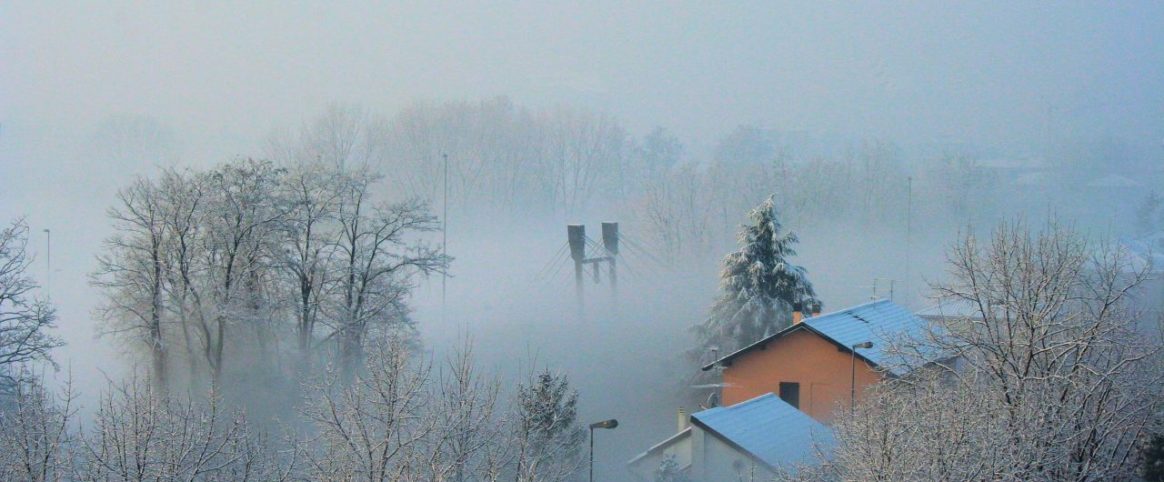 Domenico Valsecchi_Gorgonzola