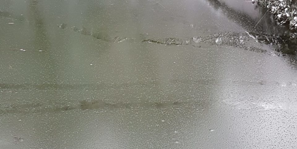 Elisabetta Formenti_ laghetto ospedale Uboldo 1