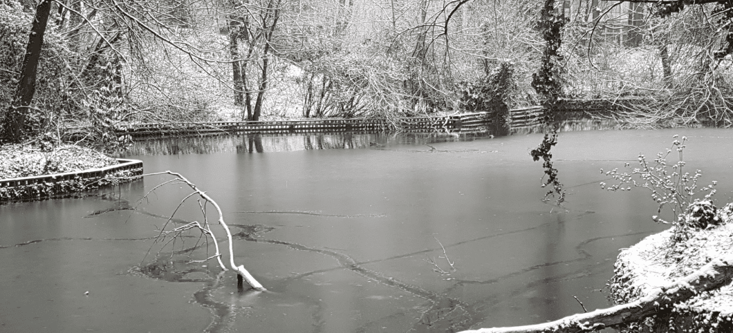 Elisabetta Formenti_laghetto ospedale Uboldo Cernusco