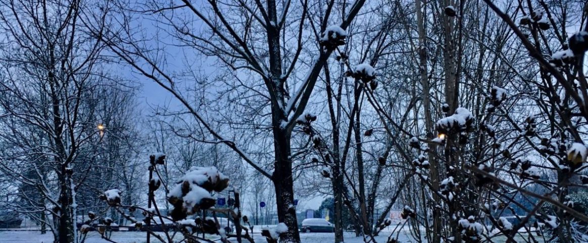 Maria Luminita Deaconu_ via Milano Bussero