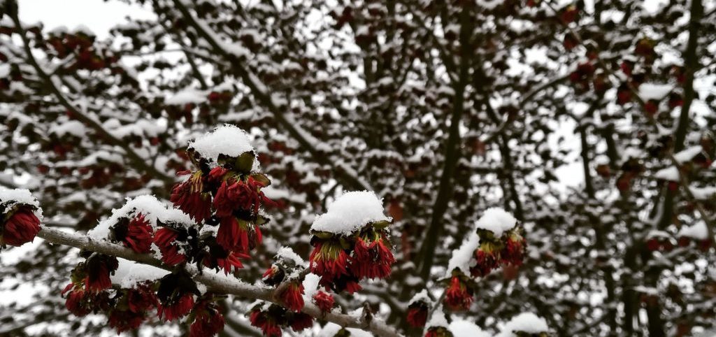 Mariangela Grafone_Pobbiano Via Milano