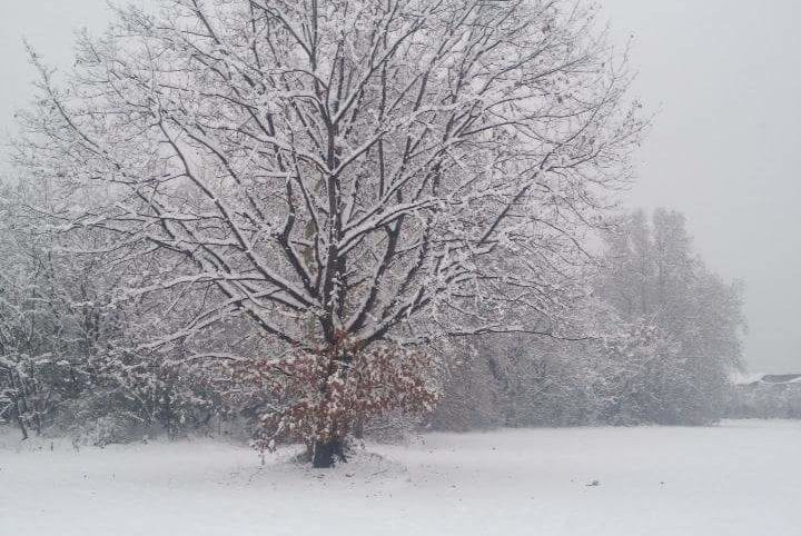 Tania Cremonesi_Campagne Trucazzano