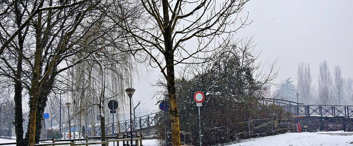 Maurizio Signorile _Cernusco sul Naviglio