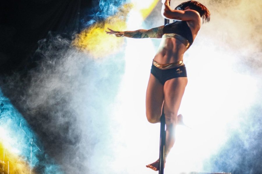 Gogoponies -Claudia De Salvo-8