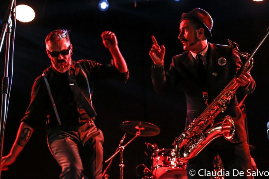 LIONSTEADY KINGALOVA-Claudia De Salvo-38