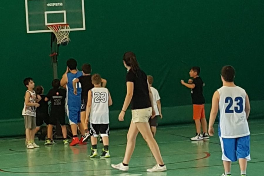 WhatsApp Image 2018-06-12 at 15.11.53 (1)