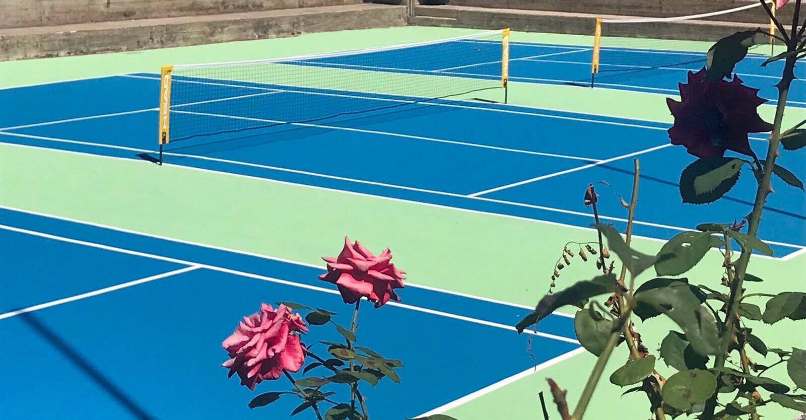 touchtennis gardanella