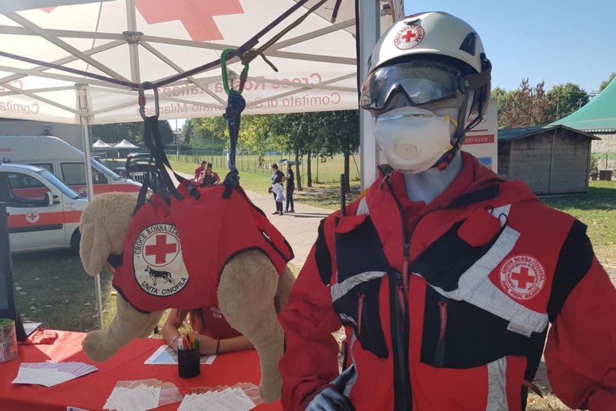 42716183_2093236840742135_2640201020591833088_o