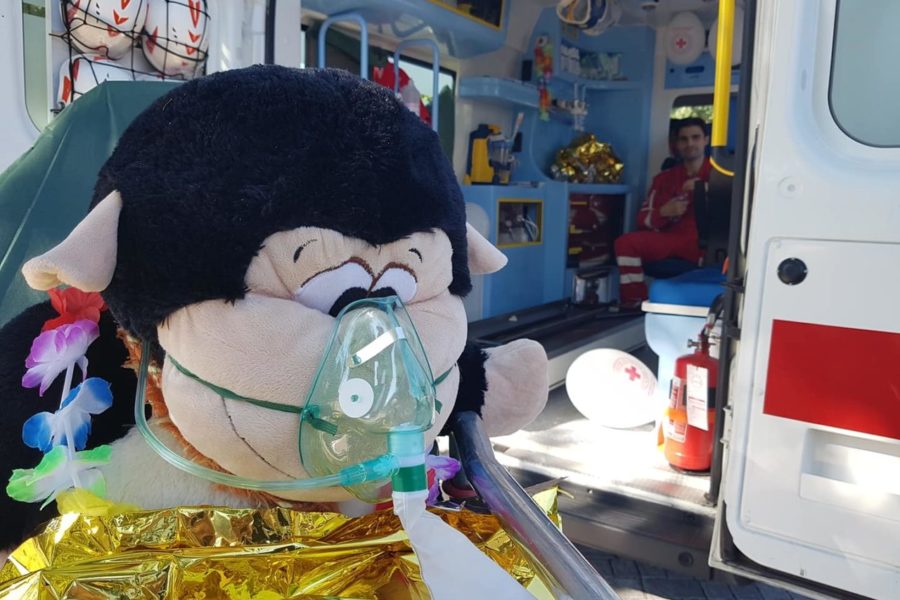 42817707_2093237017408784_3413151321186893824_o