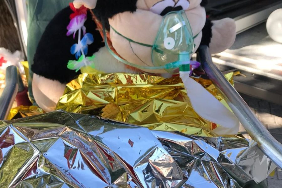 WhatsApp Image 2018-09-30 at 18.34.17