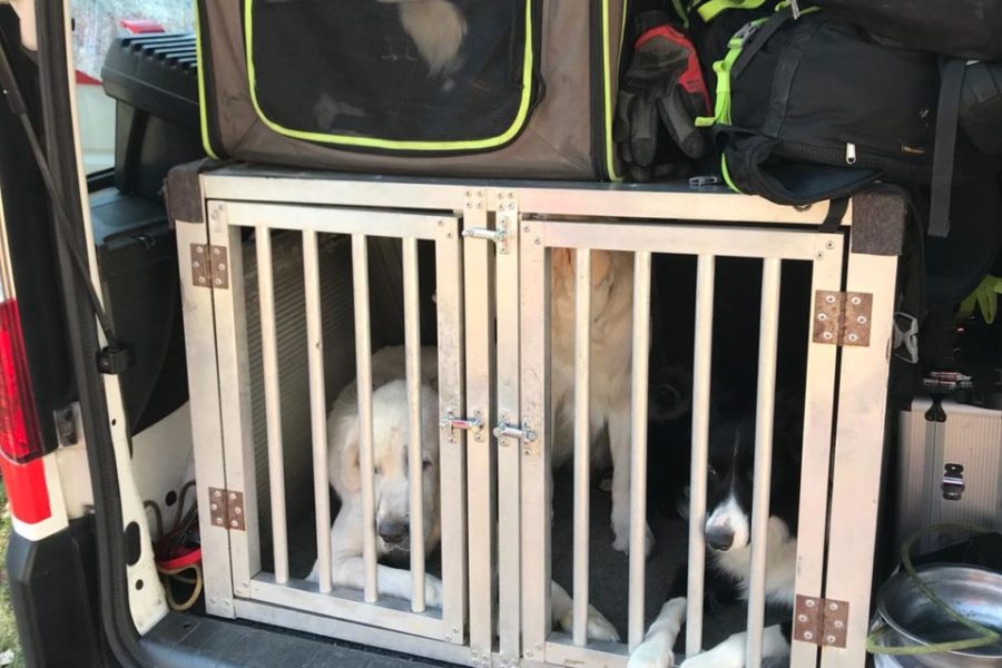 WhatsApp Image 2018-09-30 at 18.34.18