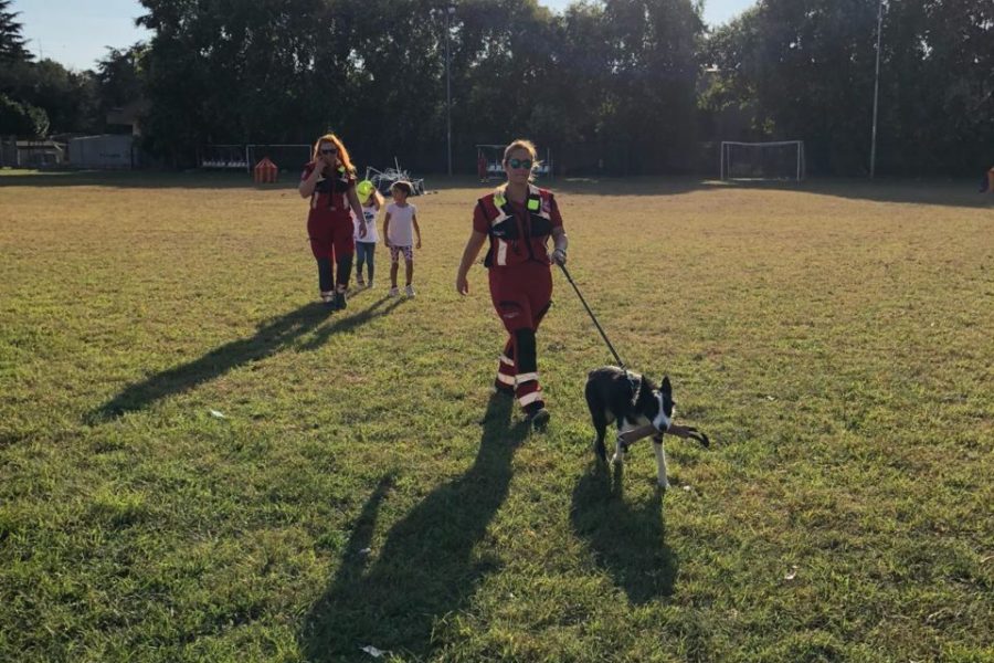 WhatsApp Image 2018-10-01 at 14.32.21 (1)