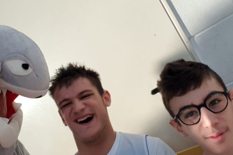 WhatsApp Image 2019-01-13 at 19.59.05 (1)