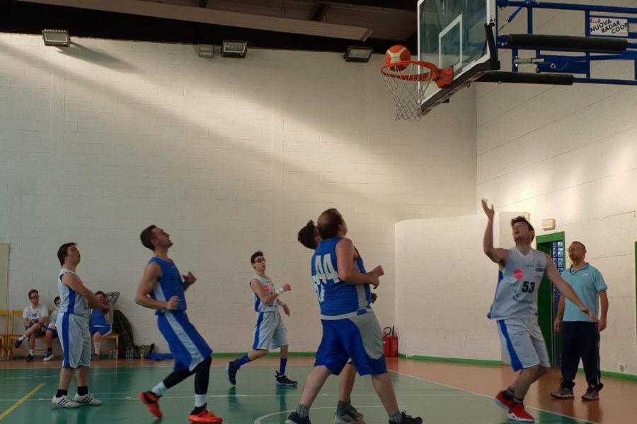 WhatsApp Image 2019-01-13 at 20.04.54