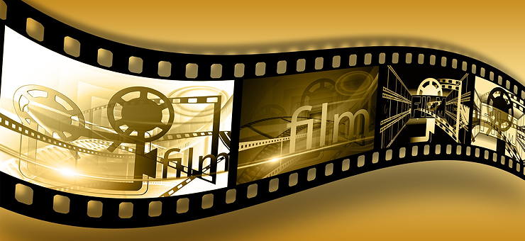 film pellicola cassina albero della vita