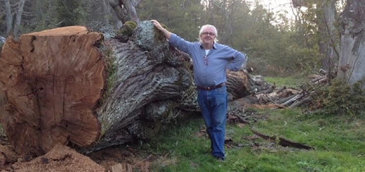 claudio ferrarini scultore claudio ferrarini scultore