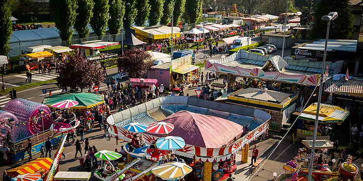 melzo fiera delle palme melzo fiera delle palme