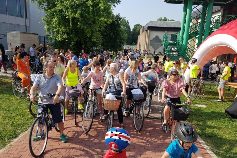 WhatsApp Image 2019-06-11 at 17.15.38